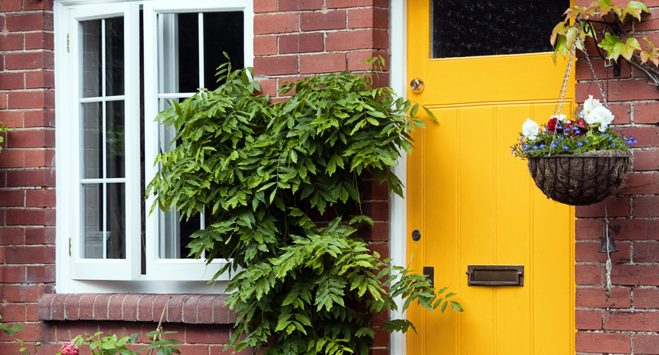 Yellow cottage front door surround by green ivy and hanging baskets