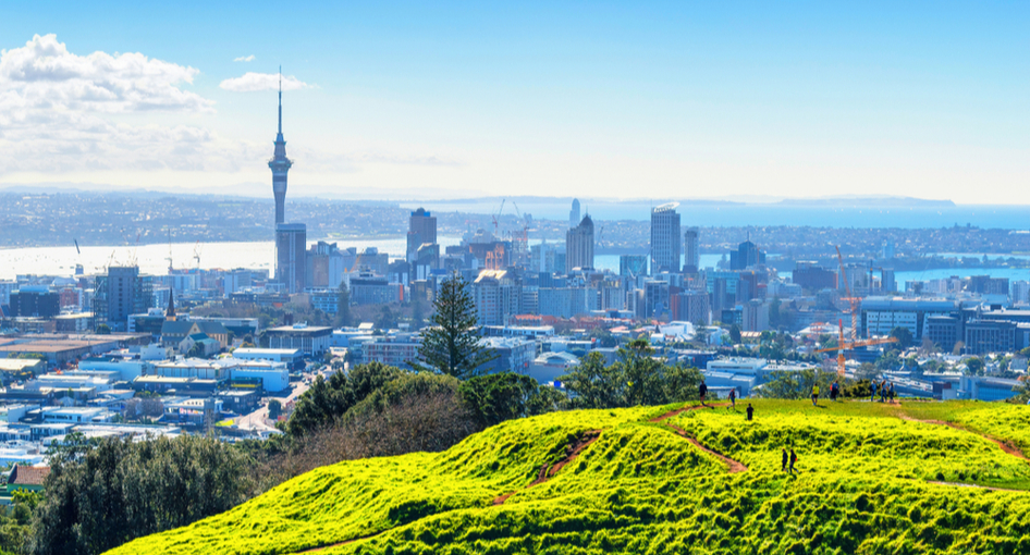 View of Auckland from Mount Eden.